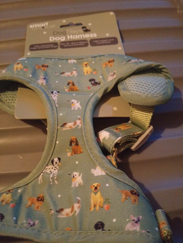 Dog harness with dog design 