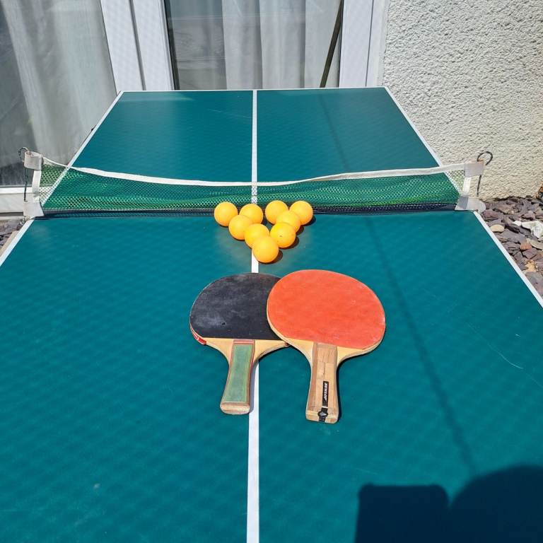 Ping pong table 