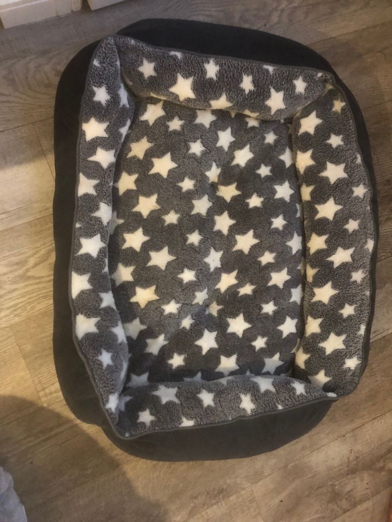 Large dog bed 