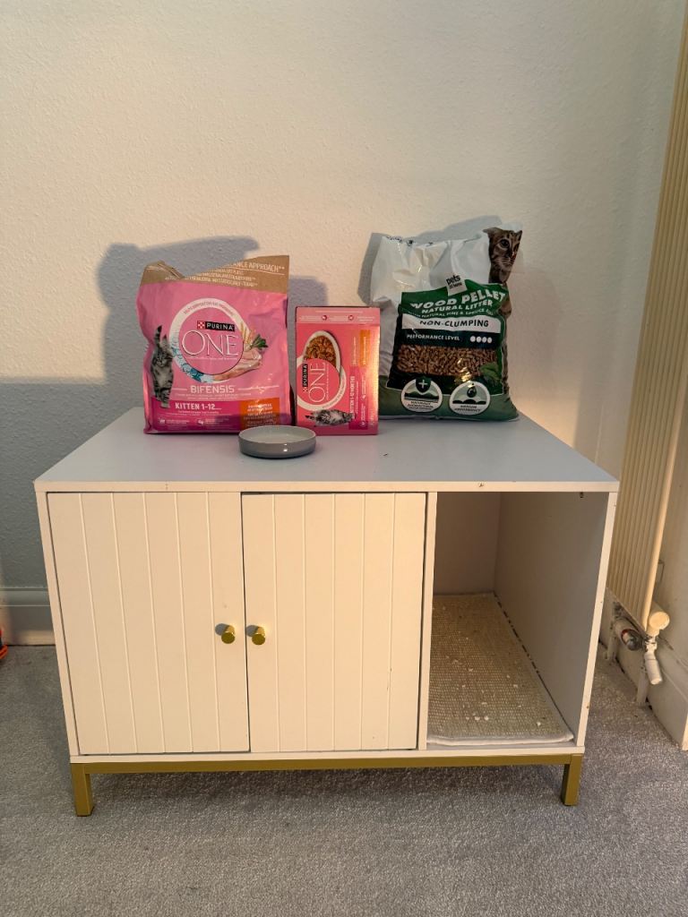 Cat Kitten Litter Furniture Food Bowl