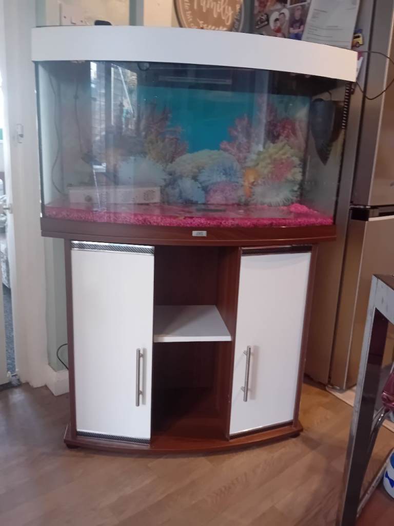 Tropical fish tank set up 