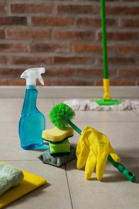Domestic Cleaning