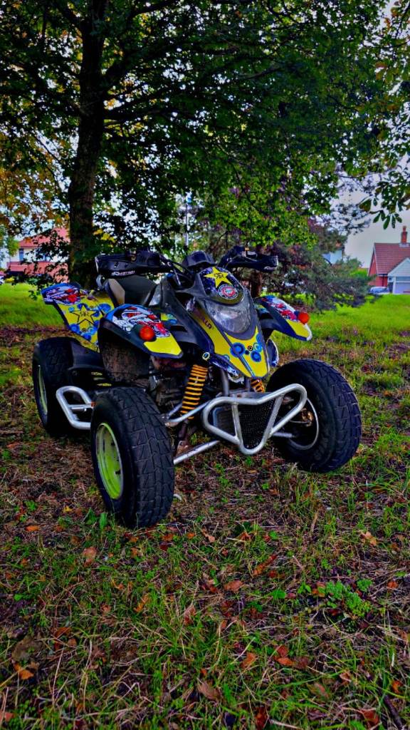 Quadzilla 250e