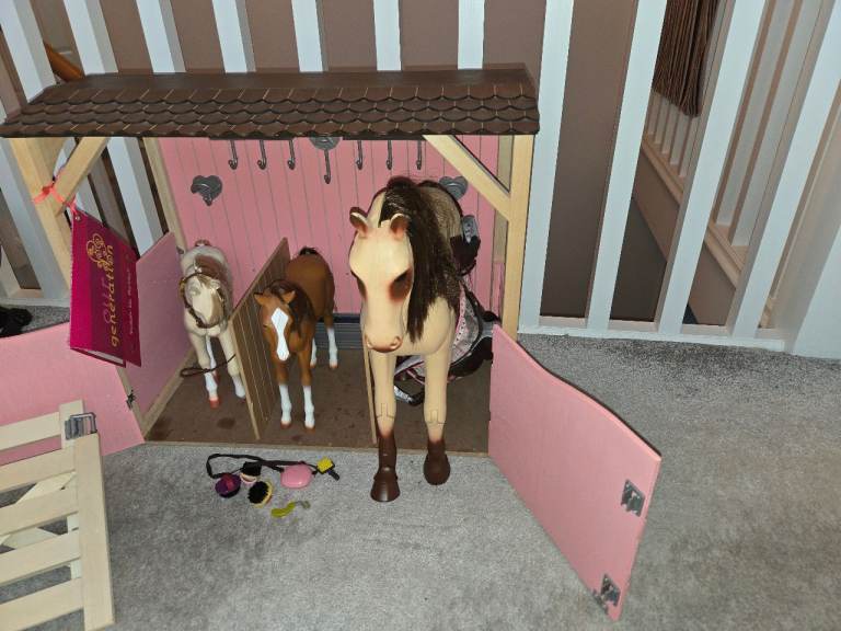 image for Our generation stables