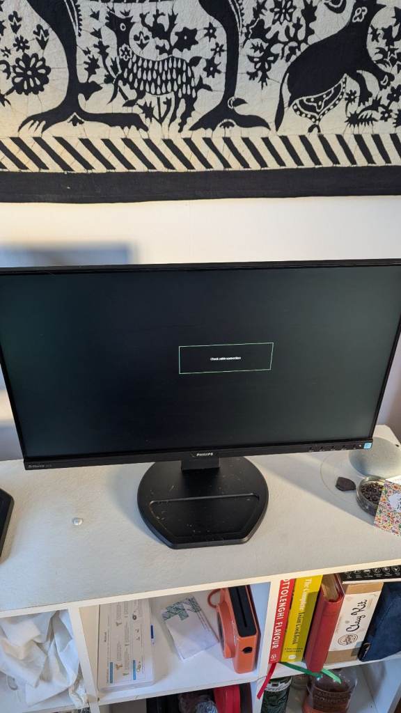 24-inch Philips Brilliance 241B computer monitor