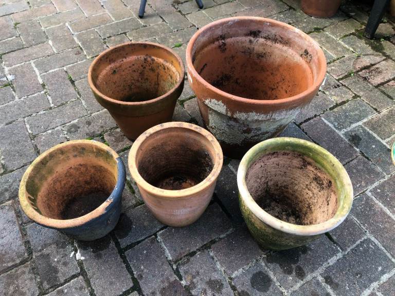 Terracotta pots bundle medium size