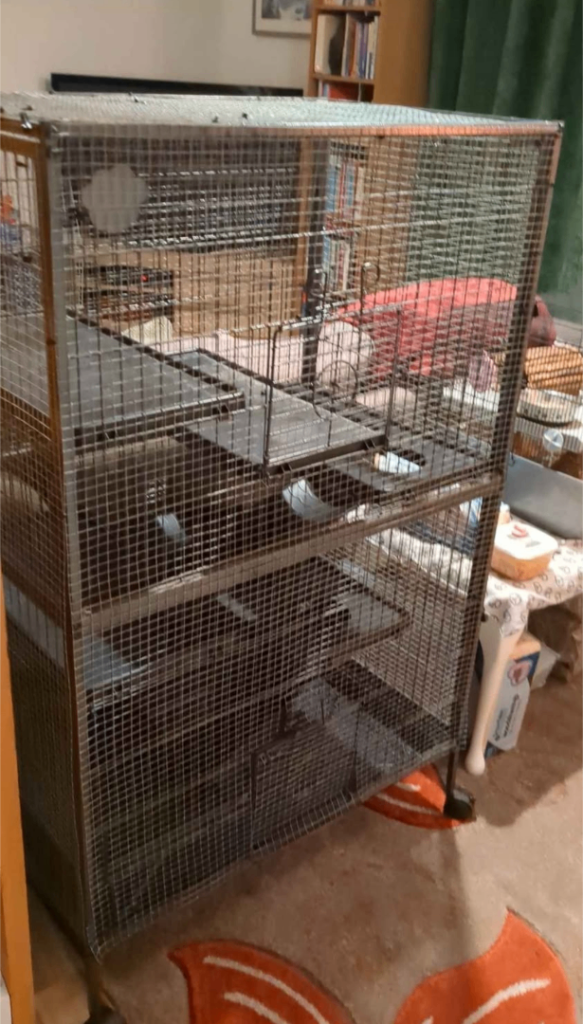 Tall rat cage