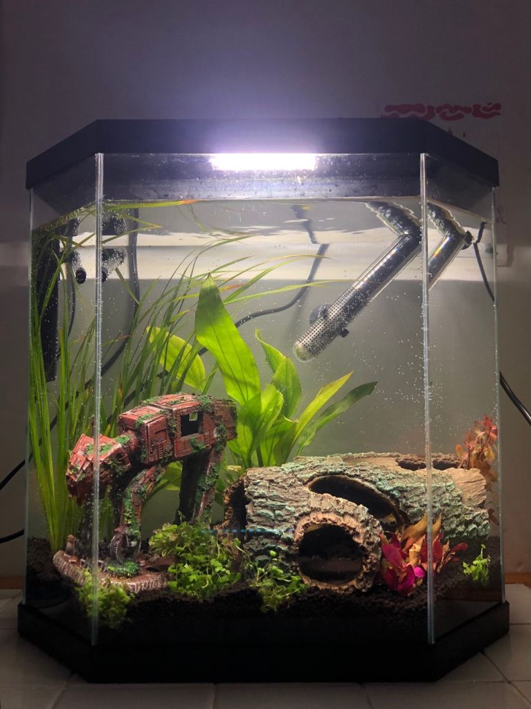 Ciano 25L fish tank with accessories