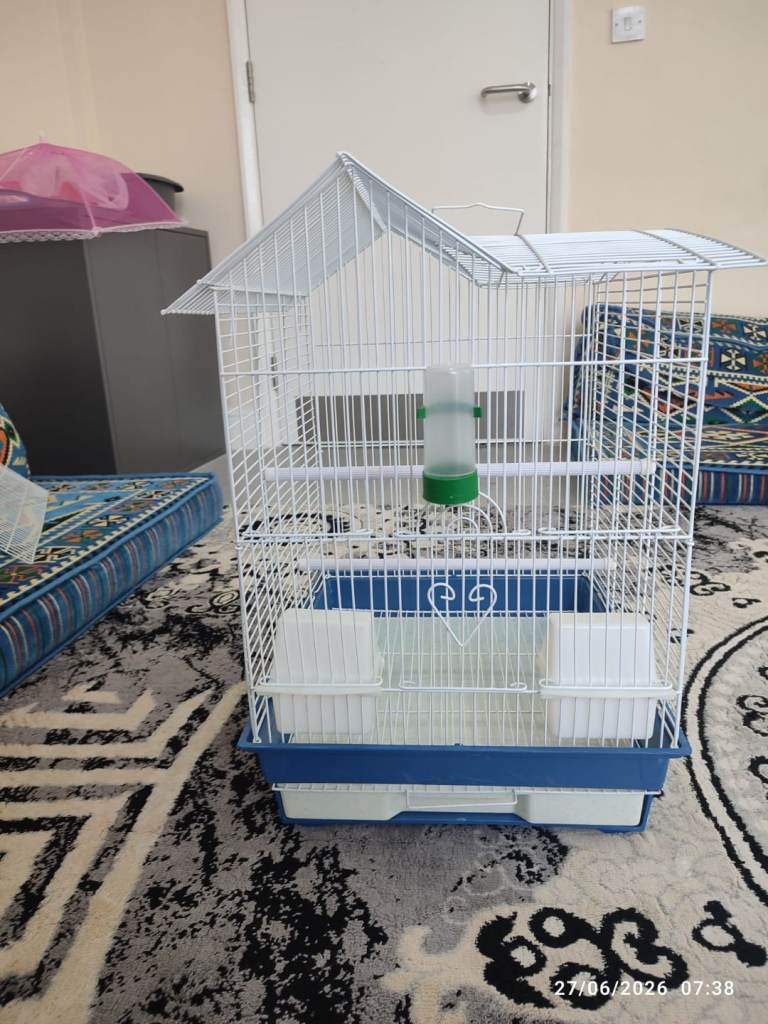 Bird cage XL 