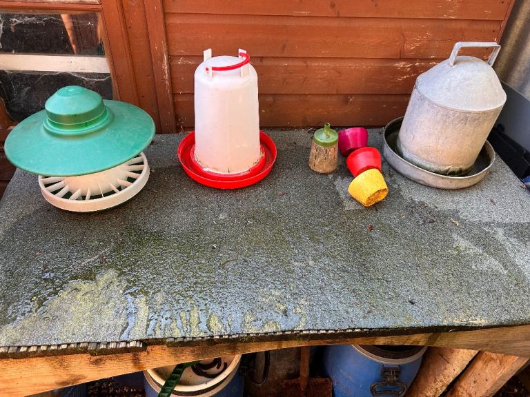 Chicken feeders/drinkers