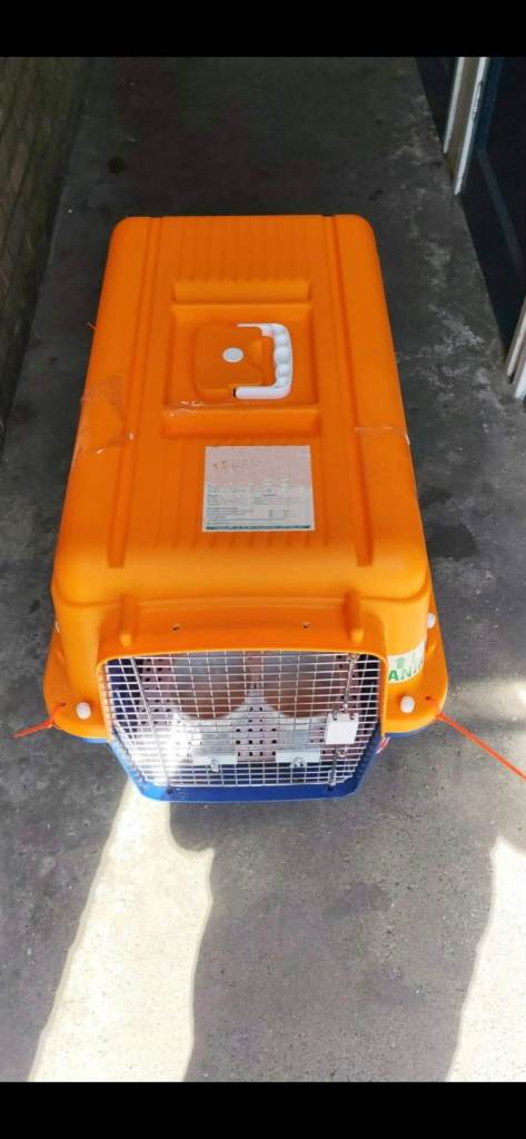 Dog crate for airlines 