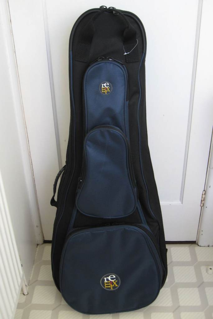 REMIX thick padded guitar case gig bag with optional backpack straps, like new.