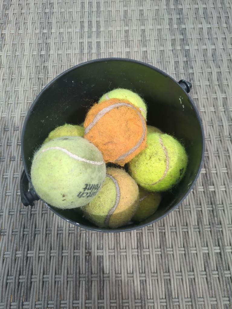 FREE Dog tennis balls 
