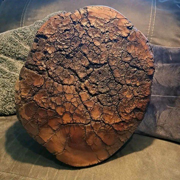Unique Elephant Foot Stool / Planter – Authentic Taxidermy Piece for Sale