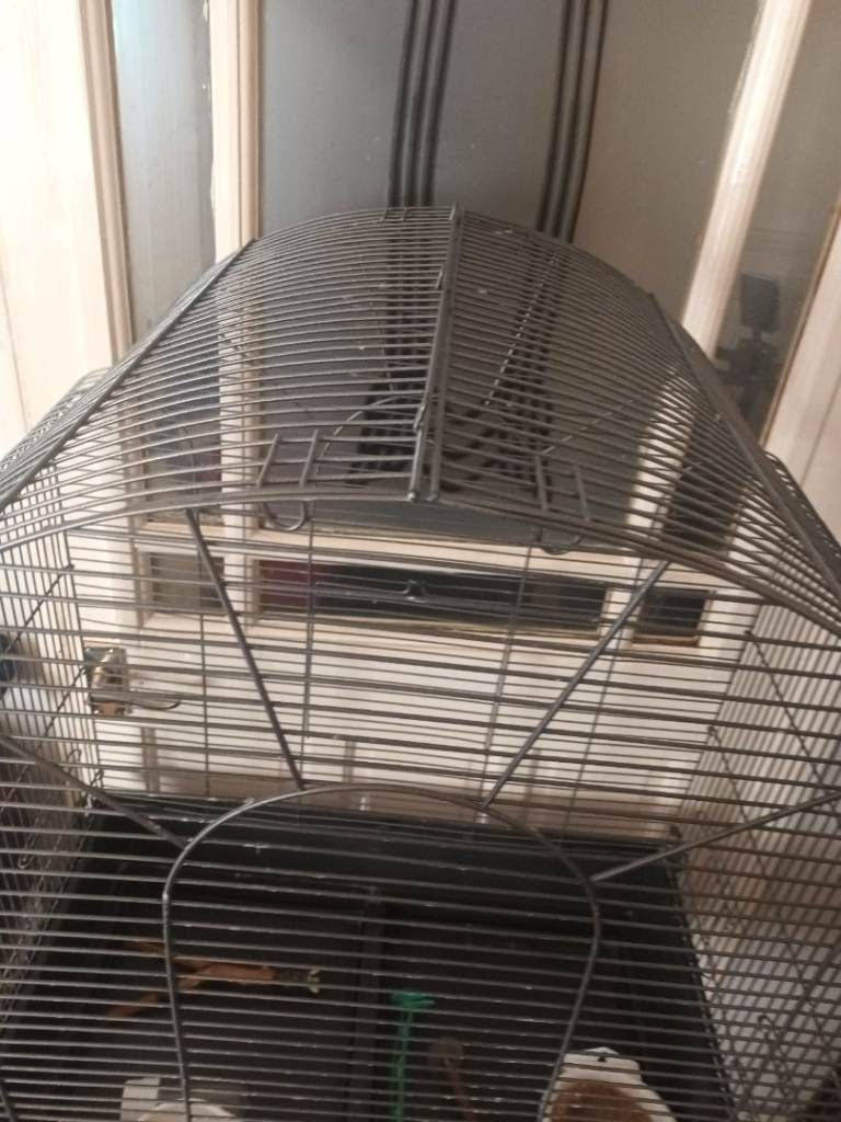 Two bird cages