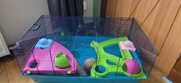 Hamster cage and accessories 