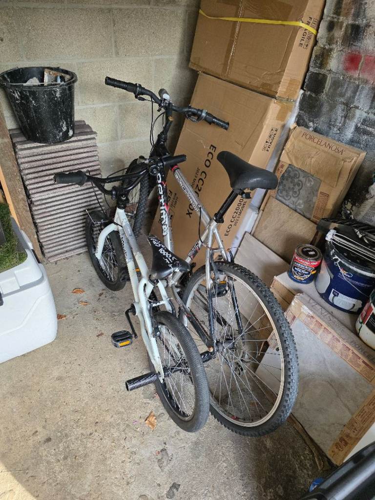 Adult and child bike