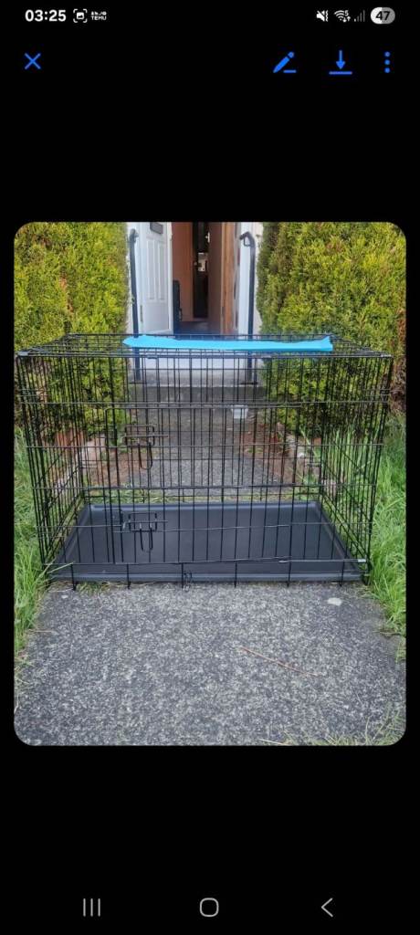 Pet Crate BRAND NEW