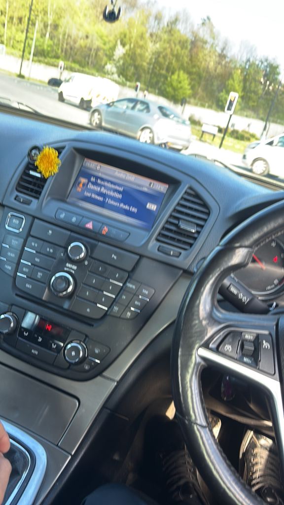 Vauxhall, INSIGNIA, Hatchback, 2013, Manual, 1956 (cc), 5 doors