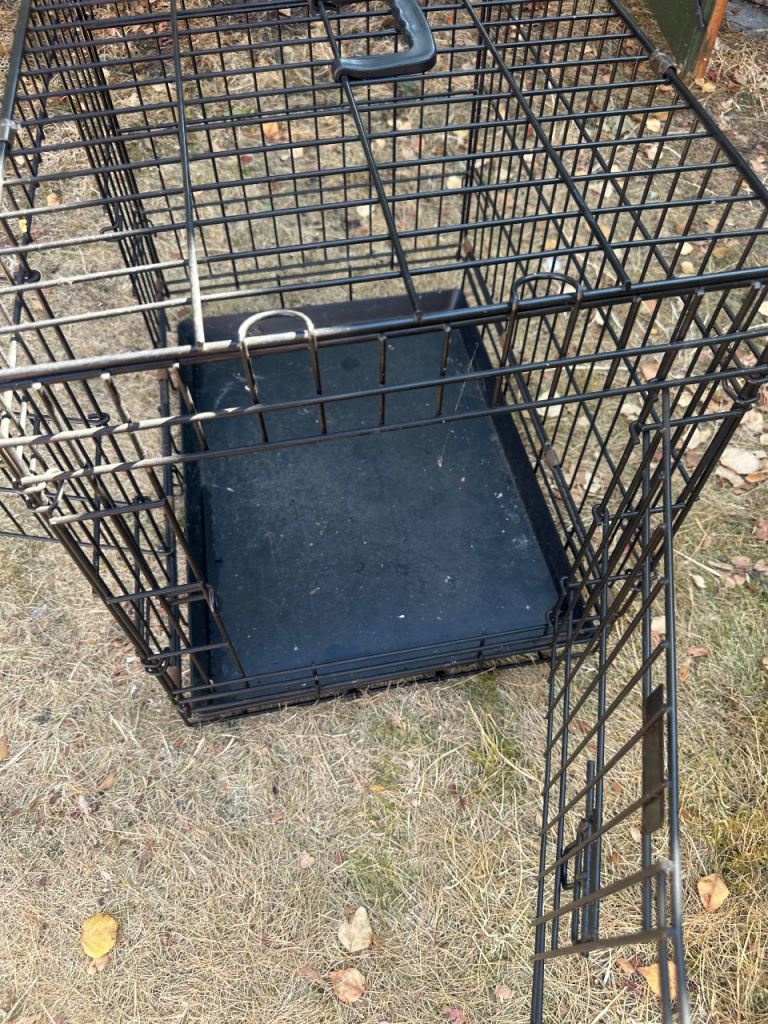 Portable medium size pet carrier 