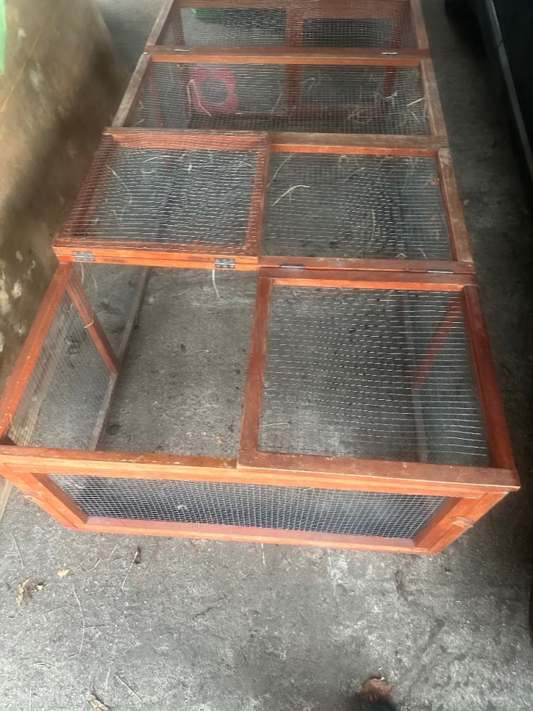 Guinea Pig/Rabbit Pen