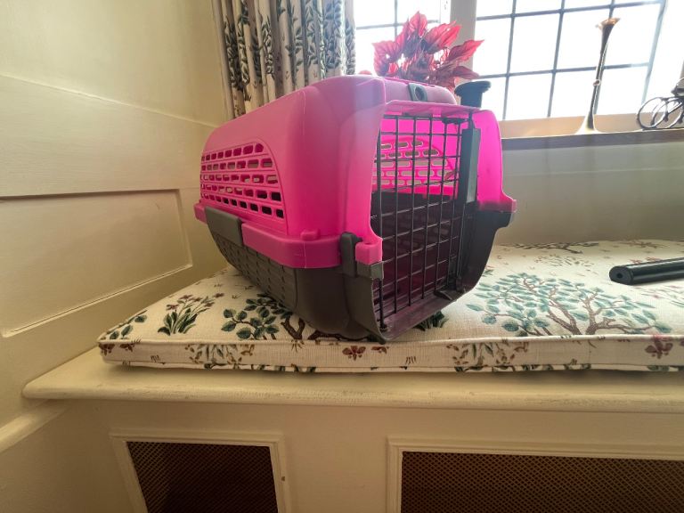 Sturdy Cat/small dog carrier 