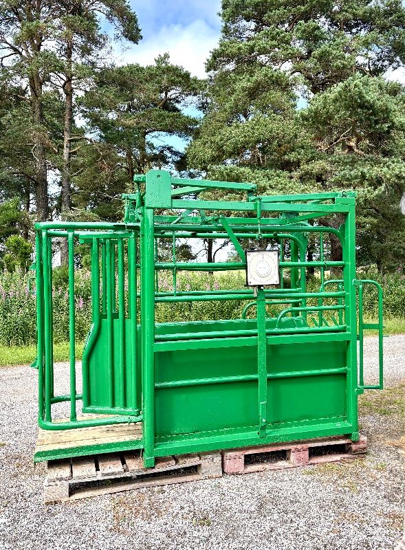 Koronka Cattle Crush with Integrated Weigh Scales – Fully Refurbished
