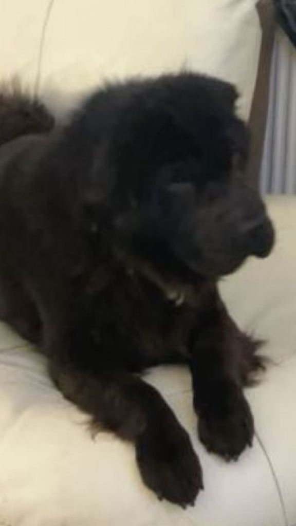 Looking for a forever home 