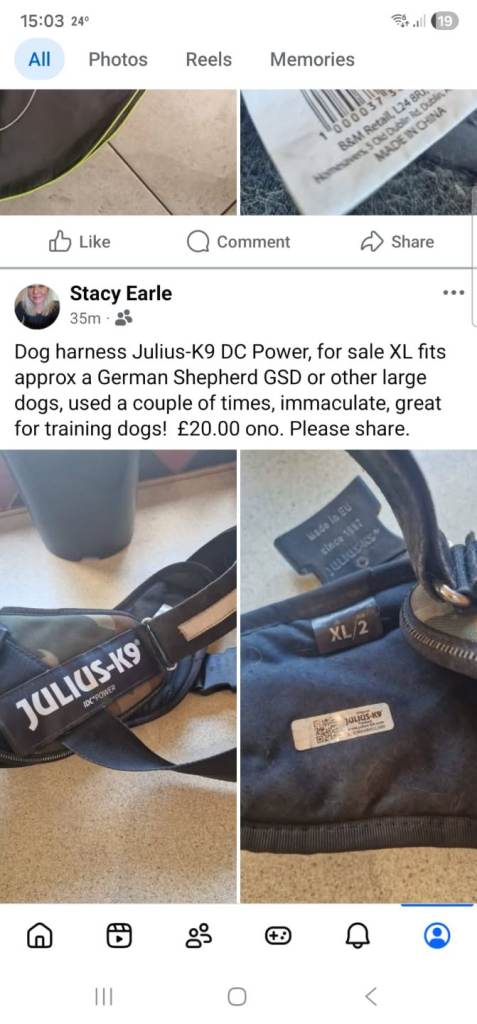 K9 julius