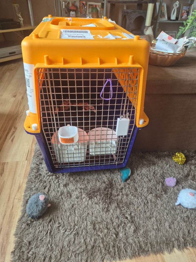 Large pet carrier, FREE, pick up Airdrie. 