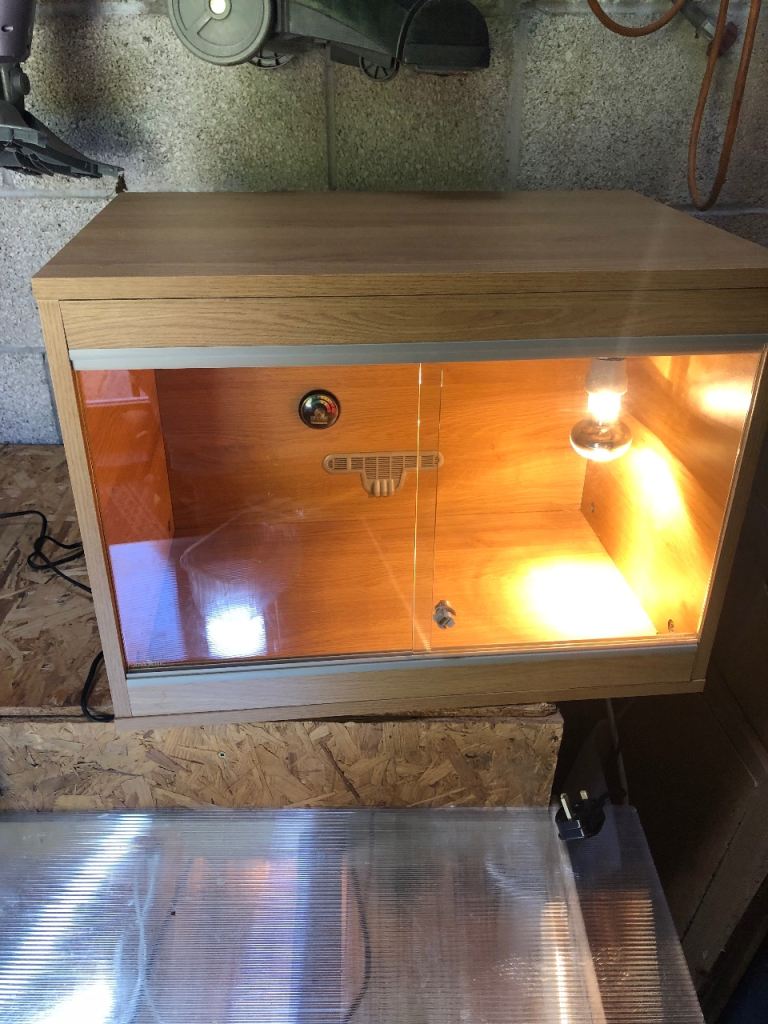 Vivexotic vivarium No Offers please 