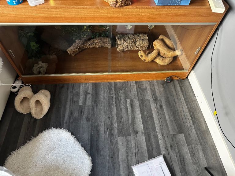 Vivarium for sale 