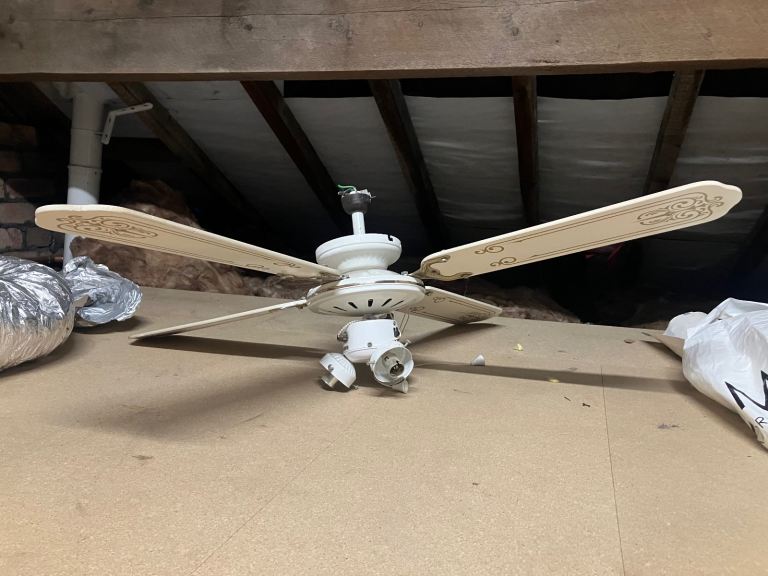 Ceiling Fan With Lights