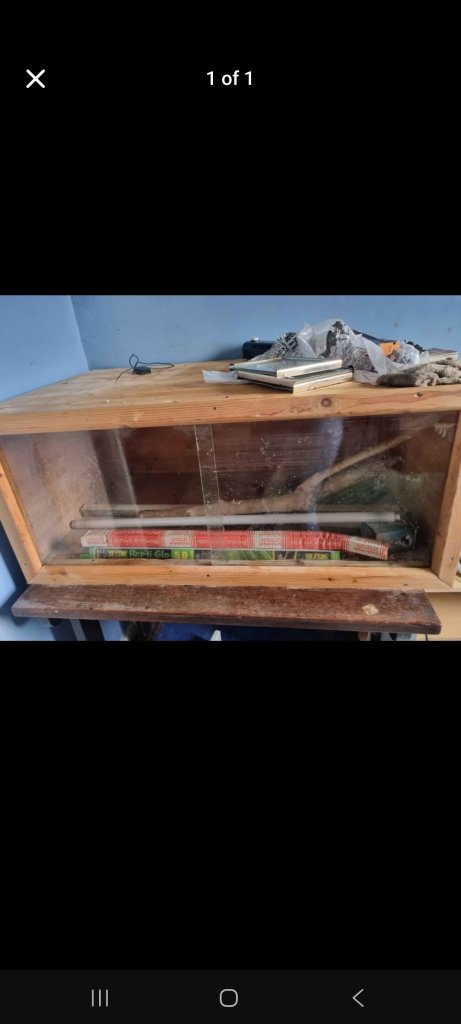Large reptile vivarium with accessories 
