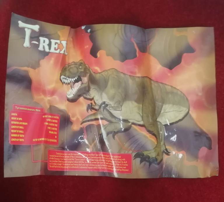 T-REX SKELETON 45"long Dinosaur Model kit 1/10 Scale Building STEM by B.C. Bones