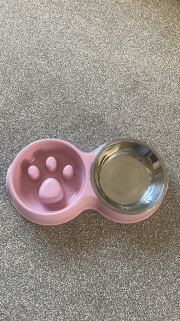 Dog bowls 