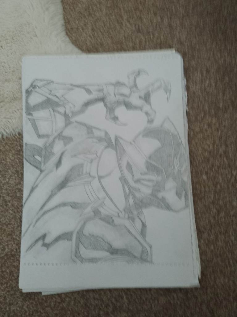 Pictures 