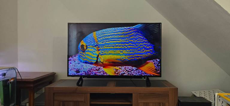 49 inch Toshiba 4K UHD Smart TV