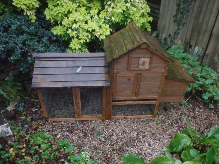 Small Chicken Coop