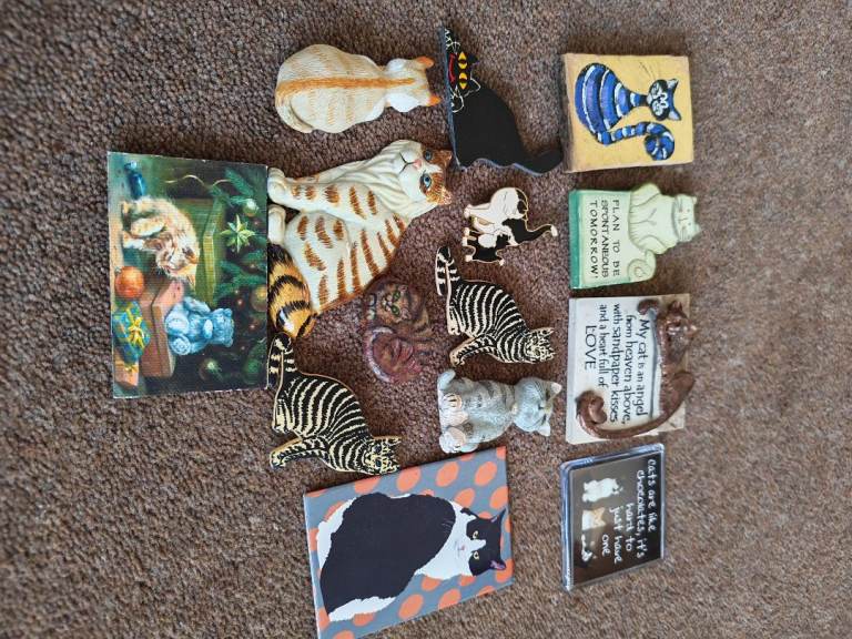 14 x cat fridge magnets