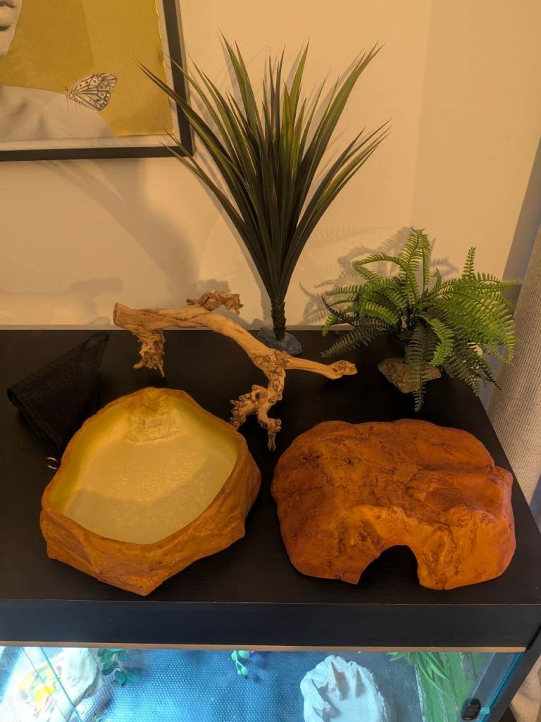 Vivaruim/Terrarium decor