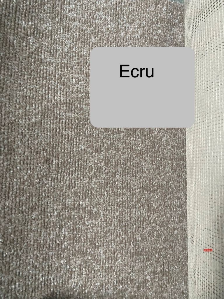 Beige (ecru) carpet 5x4m