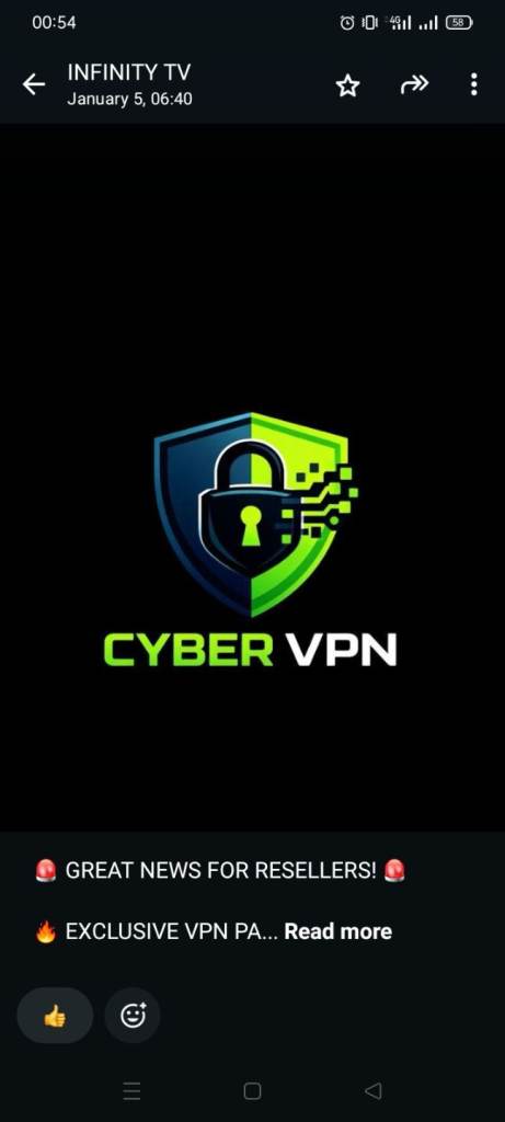 1 year Cyber VPN 