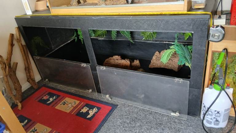 Large Black Reptile Vivarium with Two Compartments