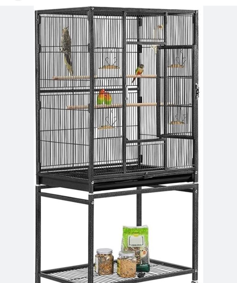 Bird cage 
