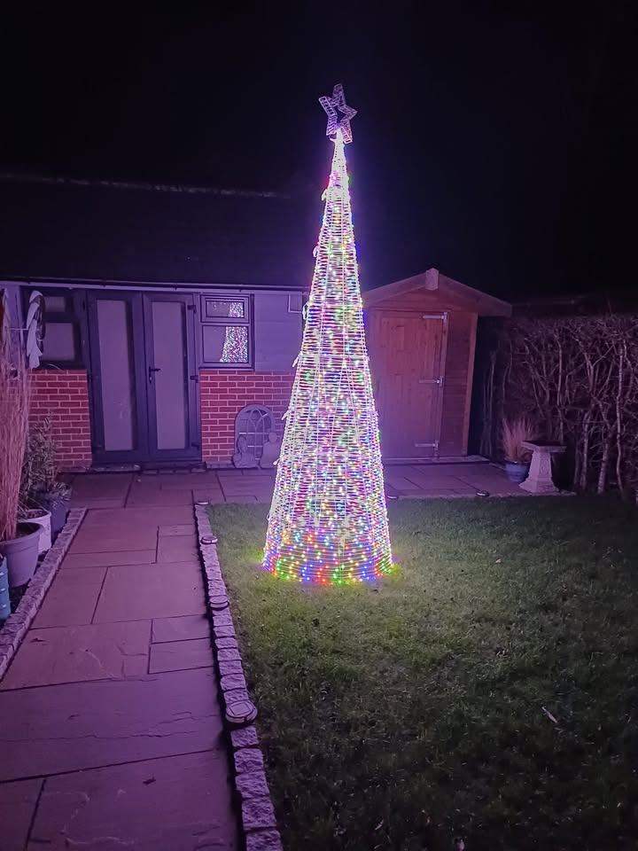 10ft Outdoor LED Christmas Tree with Star Topper – Good Condition