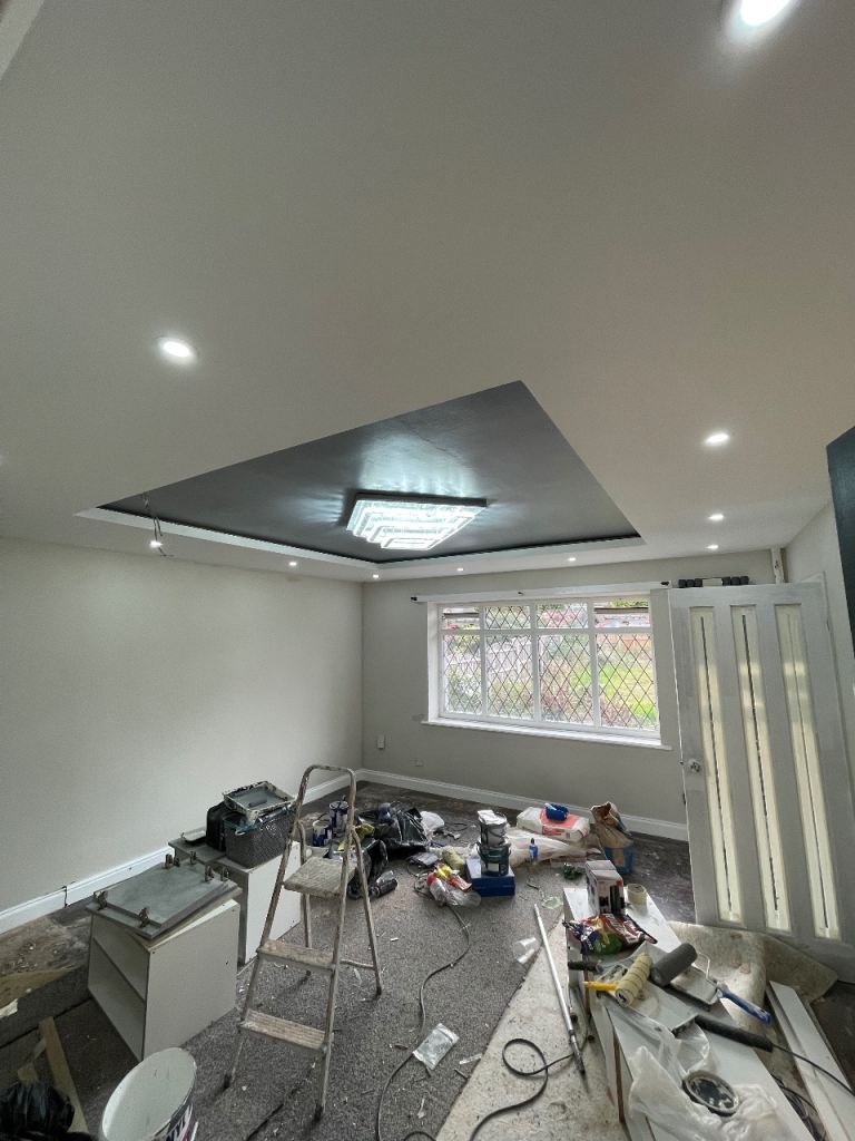 Painter looking for Work