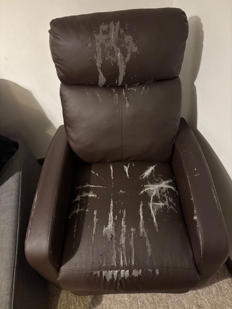Free leather chair 