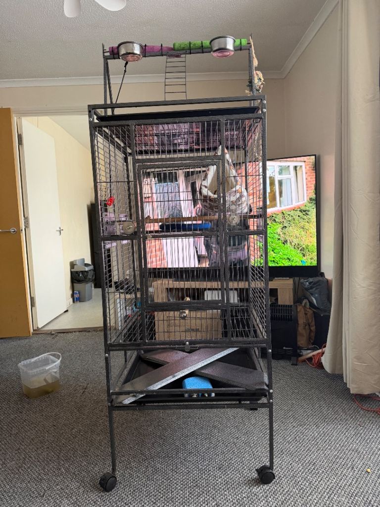 Parrot cage