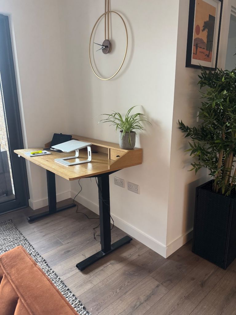 FlexiSpot Studio Standing Desk ESD1 - Motorised Electric Sit-Stand Workstation